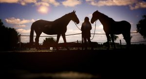 de Paardencoachopleiding - jouw trainer Saskia Morsink